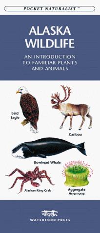 Alaskan Wildlife