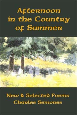 Afternoon in the Country of Summer