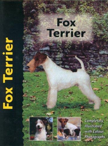 Fox Terrier