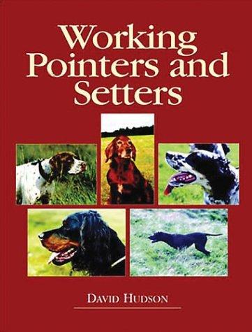 Working Pointers and Setters
