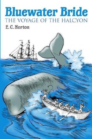 Bluewater Bride -- The Voyage of the Halcyon