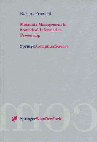 Metadata management in statistical information processing