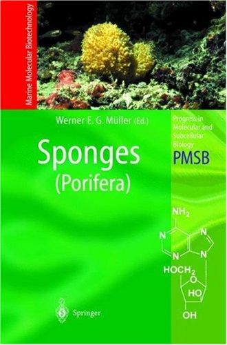 Sponges (Porifera) (Progress in Molecular and Subcellular Biology / Marine Molecular Biotechnology)