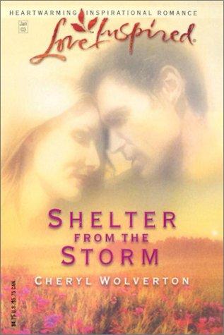 Shelter From The Storm