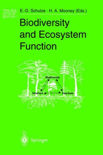 Biodiversity and ecosystem function