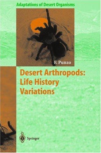 Desert Arthropods