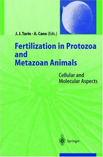 Fertilization in protozoa and metazoan animals