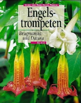 Brugmansia