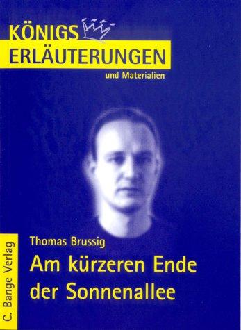 Am kürzeren Ende der Sonnenallee (Königs Erläuterungen und Materialien; 409)