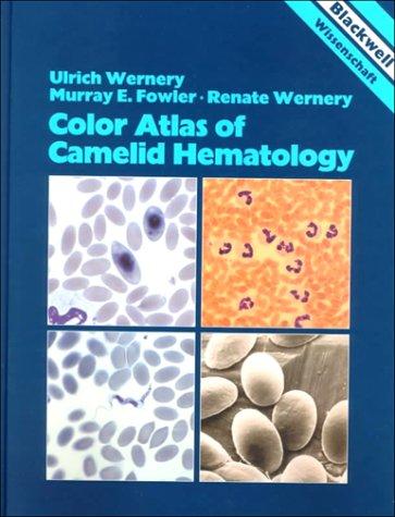 Color atlas of camelid hematology