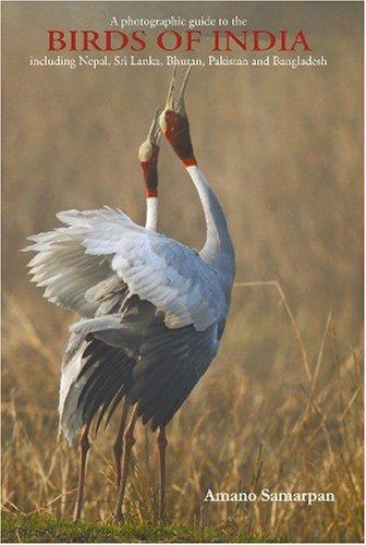Birds of India