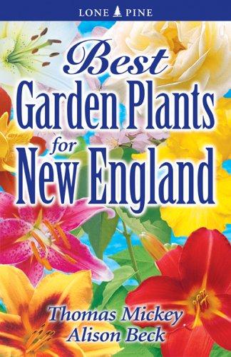 Best garden plants for New England