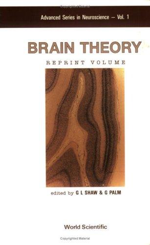 Brain theory