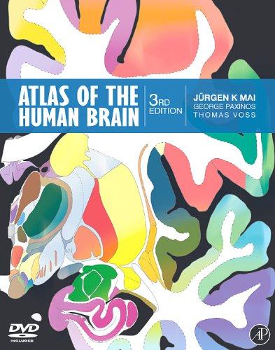 Atlas of the human brain