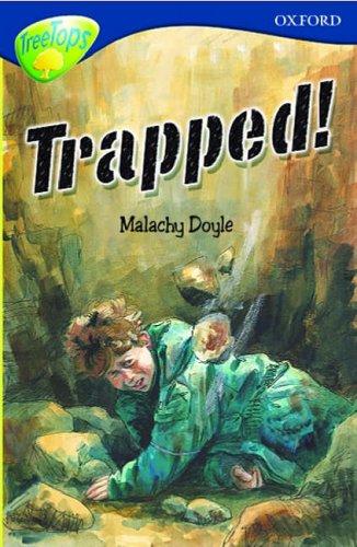 Oxford Reading Tree: Stage 14: TreeTops