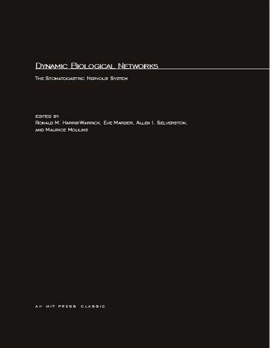 Dynamic Biological Networks