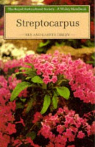 Streptocarpus