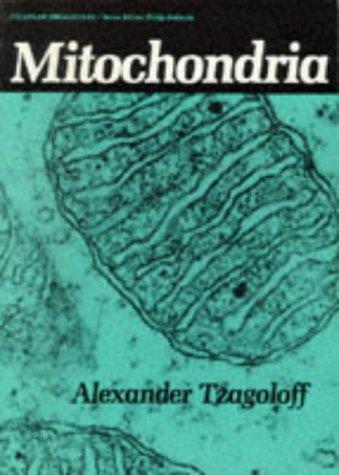 Mitochondria