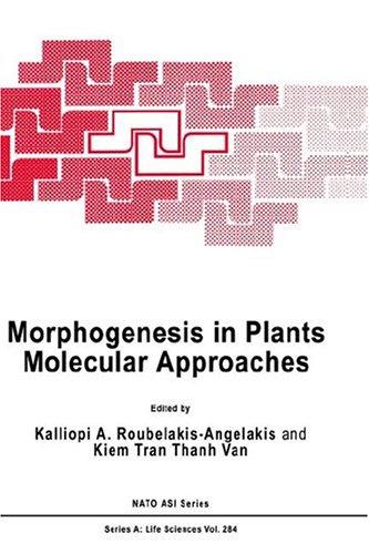 Morphogenesis in plants