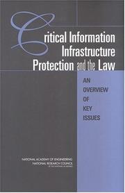 Critical information infrastructure protection and the law