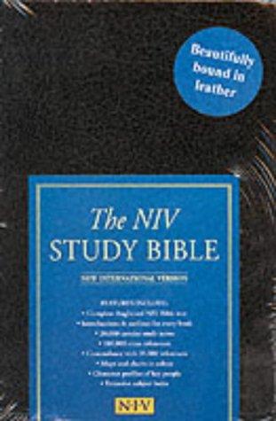 NIV Study Bible (Bible Niv)