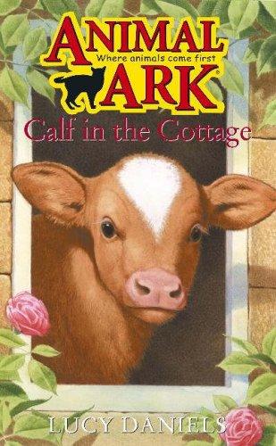 Calf in the Cottage (Animal Ark Series #15)