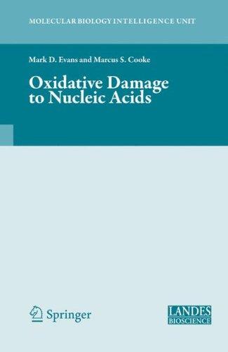 Oxidative damage to nucleic acids