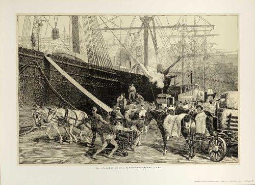 Ny Dock Stevedore Poster