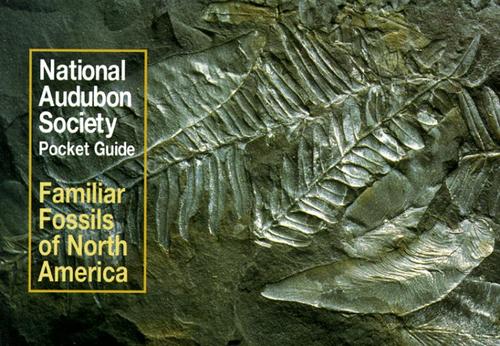 Familiar fossils