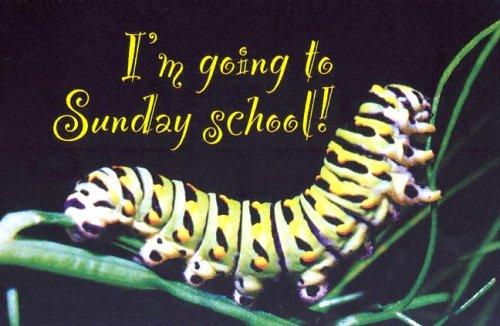I'm Going to Sunday School Caterpillar Postcard