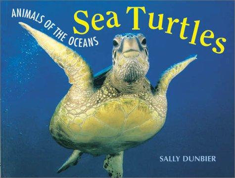 Animals of the Ocean - Sea Turtles
