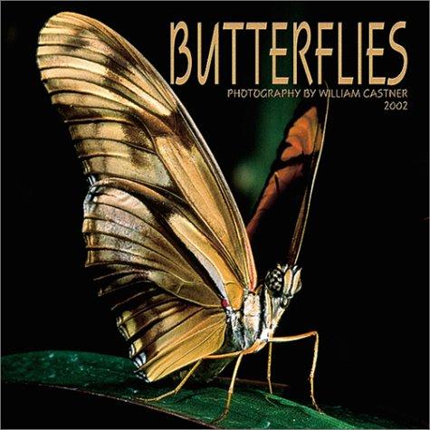 Butterflies 2002 Wall Calendar