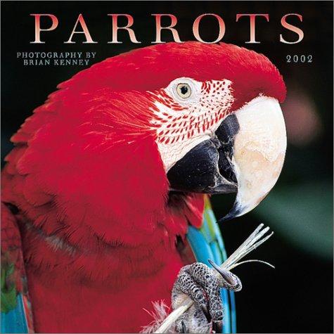 Parrots 2002 Wall Calendar