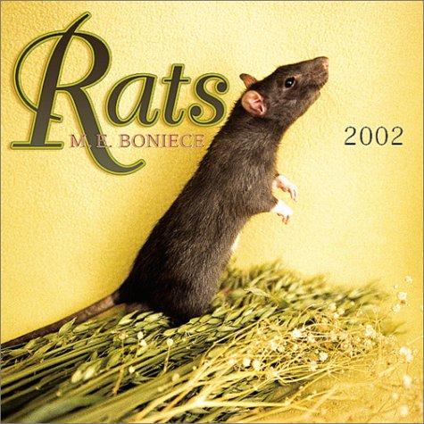 Rats 2002 Wall Calendar
