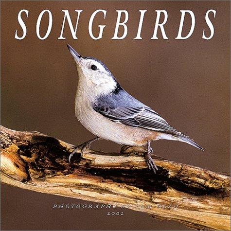 Songbirds 2002 Wall Calendar