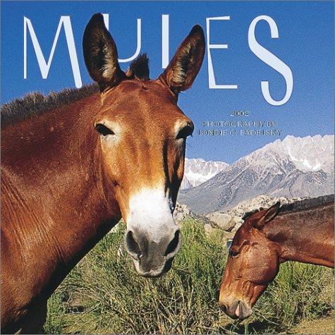 Mules 2002 Wall Calendar