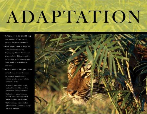 Adaptation Survival Skills in the Animal World Cheap Chart