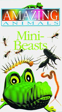 Mini-Beasts (Amazing Animals)