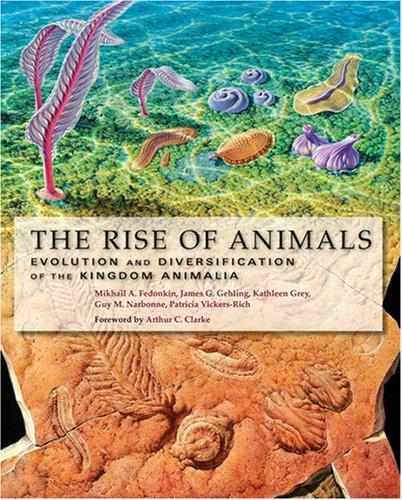 The rise of animals