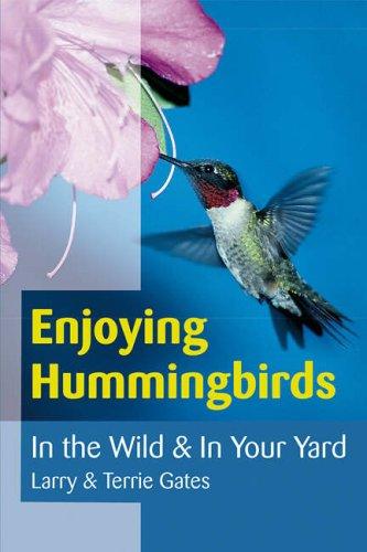Enjoying hummingbirds