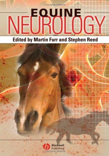 Equine neurology