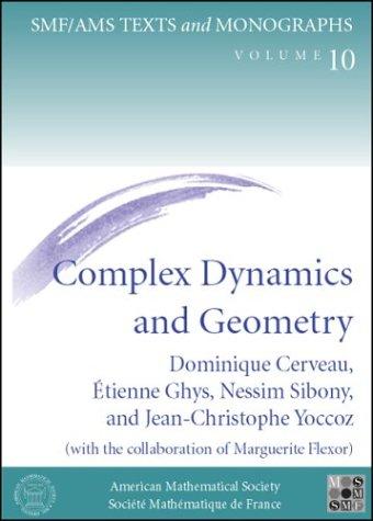 Complex dynamics and geometry