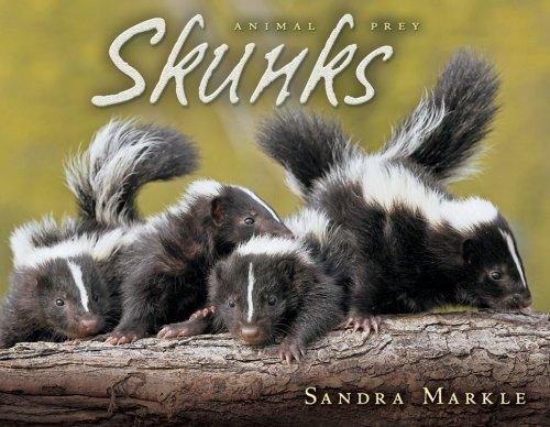 Skunks (Animal Prey)