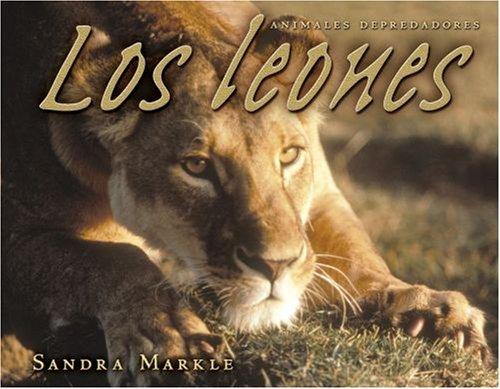 Los Leones / Lions (Animales Depredadores / Animal Predators)