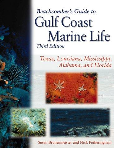 Beachcomber's guide to Gulf coast marine life