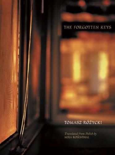 The Forgotten Keys (New Polish Writing)