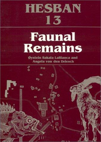 Faunal remains