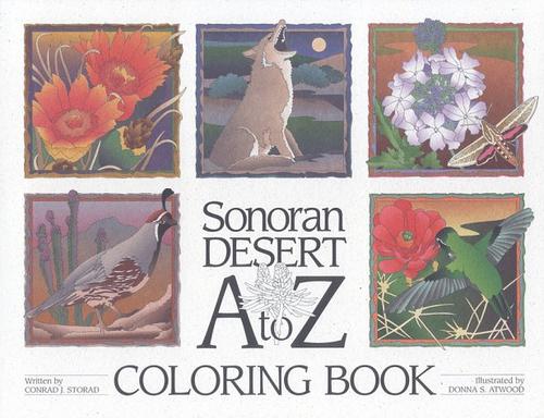 Sonoran Desert A to Z Coloring Book