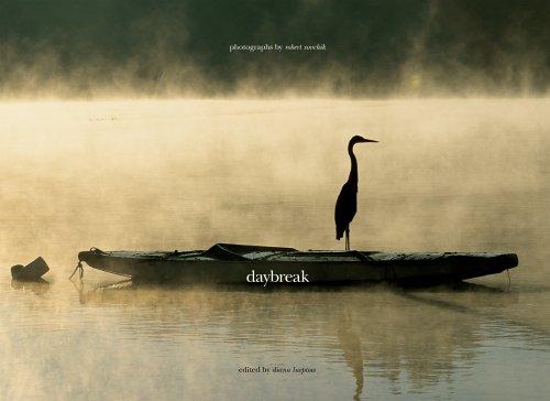 Daybreak