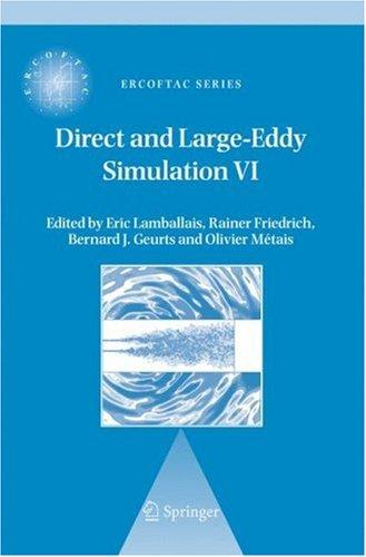 Direct and large-eddy simulation VI